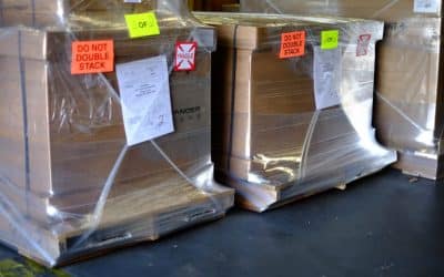 Making sure you get your Salamander in perfect shape