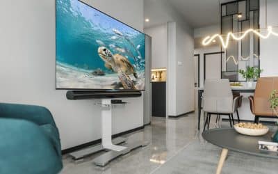 Salamander Designs annonce la mise en vente de son nouveau modèle Acadia, qui révolutionne le marché des écrans de télévision grâce à ses supports élégants s'installant en quelques minutes.